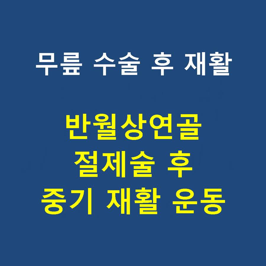 샘플이미지